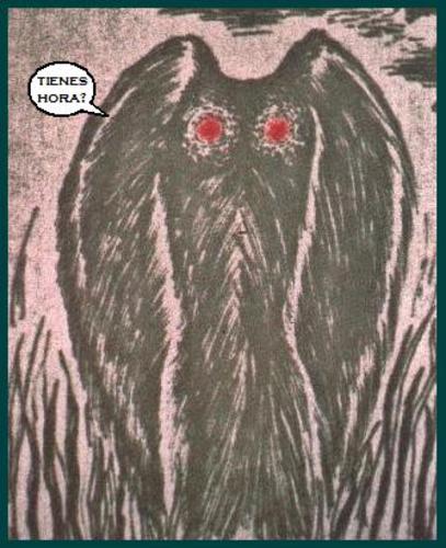 What Is A Mothman?