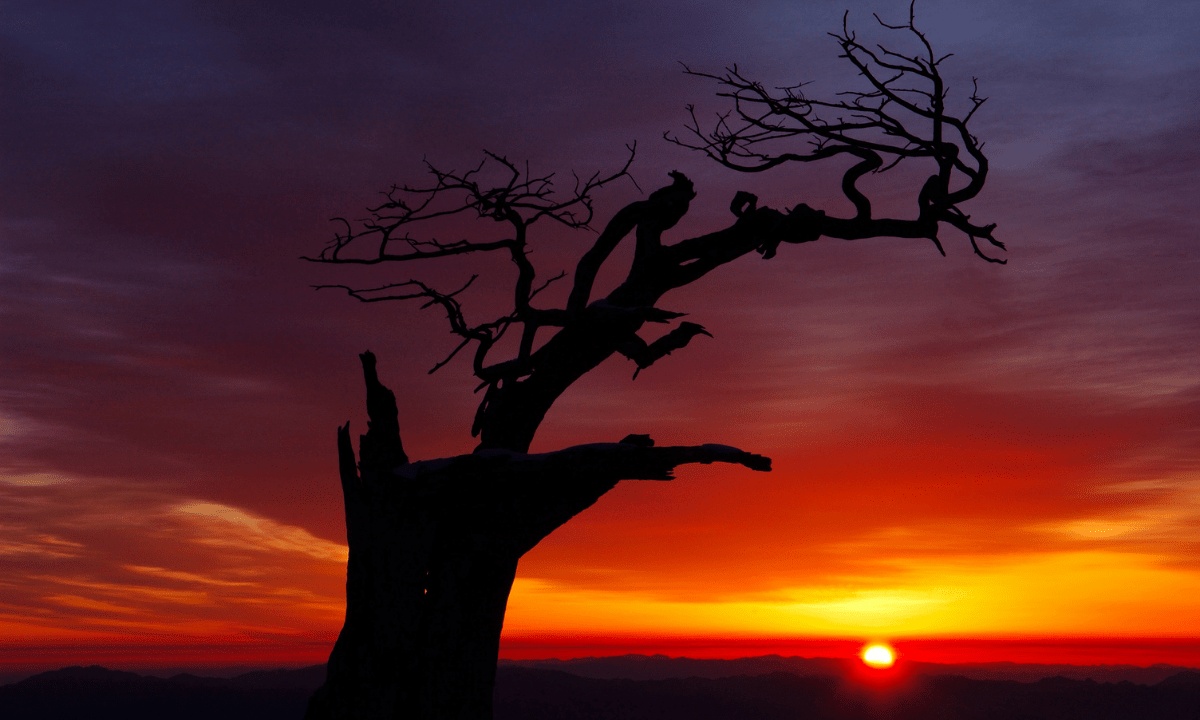 Dangerous Mythological Creatures: Guide to Knowing Them